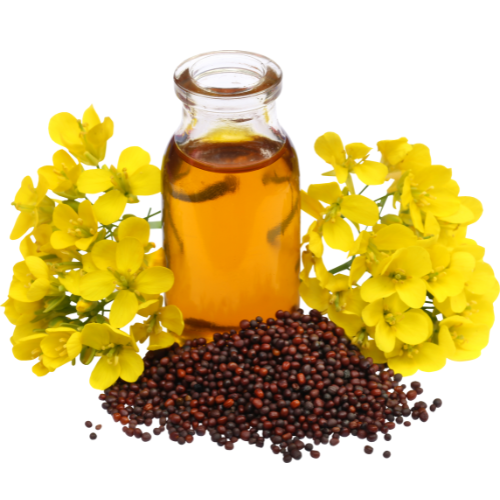 Mustard Oil